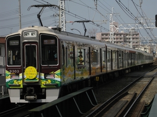 9303Fkarbon.jpg