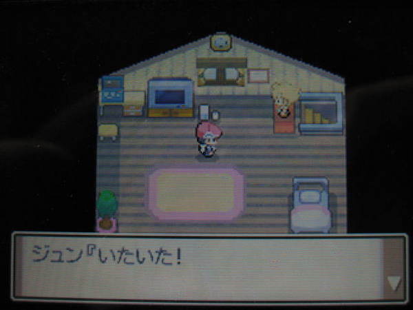 ポケモンptプレイ日記 ポケットモンスタープラチナ スタート ハンサム会話後 東海道くんのあれこれ
