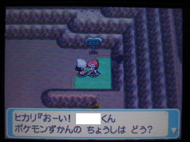 ポケモンptプレイ日記 ポケットモンスタープラチナ 9 じてんしゃ入手 ヨスガシティ到着 東海道くんのあれこれ