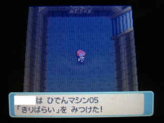 ポケモンptプレイ日記 ポケットモンスタープラチナ 19 ノモセジム戦 カンナギ祠 東海道くんのあれこれ