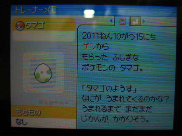 ポケモンptプレイ日記 ポケットモンスタープラチナ 21 1 こうてつ島クリア リオル孵化 東海道くんのあれこれ