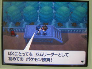 ポケモンbw2プレイ日記 ポケットモンスターブラック２ 2 牧場 最初のジムクリア 東海道くんのあれこれ