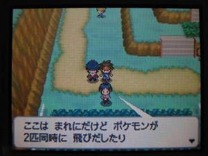 ポケモンbw2プレイ日記 ポケットモンスターブラック２ 3 ヒオウギジム タチワキジムクリア 東海道くんのあれこれ