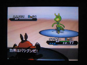 ポケモンbw2プレイ日記 Archives 東海道くんのあれこれ