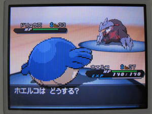 ポケモンbw2プレイ日記 ポケットモンスターブラック２ 7 フキヨセジムクリアまで 東海道くんのあれこれ