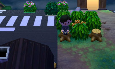 とびだせ どうぶつの森 とびだせ どうぶつの森 金の薔薇を厳重保管 東海道くんのあれこれ とびだせ どうぶつの森 とびだせ どうぶつの森 金の薔薇を厳重保管 東海道くんのあれこれ