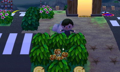 とびだせ どうぶつの森 とびだせ どうぶつの森 金の薔薇を厳重保管 東海道くんのあれこれ とびだせ どうぶつの森 とびだせ どうぶつの森 金の薔薇を厳重保管 東海道くんのあれこれ