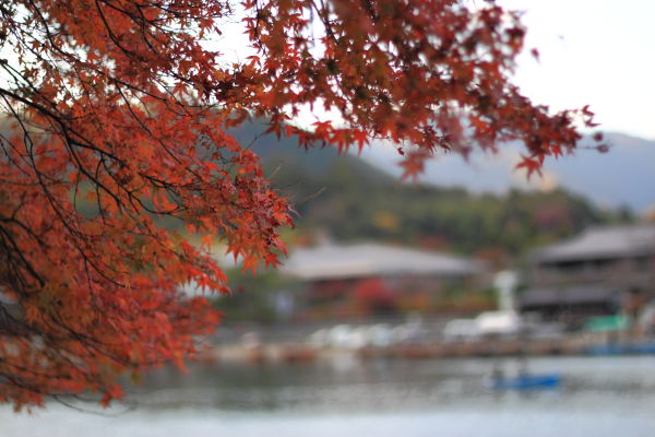 撮影データ:Canon EOS Kiss X3 1/640sec f/1.8 ISO-100 50mm