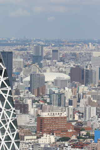 東京ドーム・よみうりランド・台東区役所など