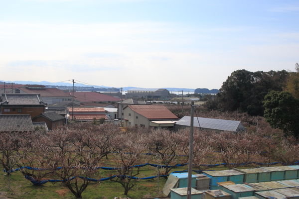 梅畑(岩代~南部駅間)