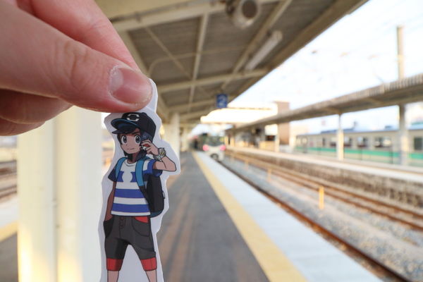 225系と紀州鉄道
