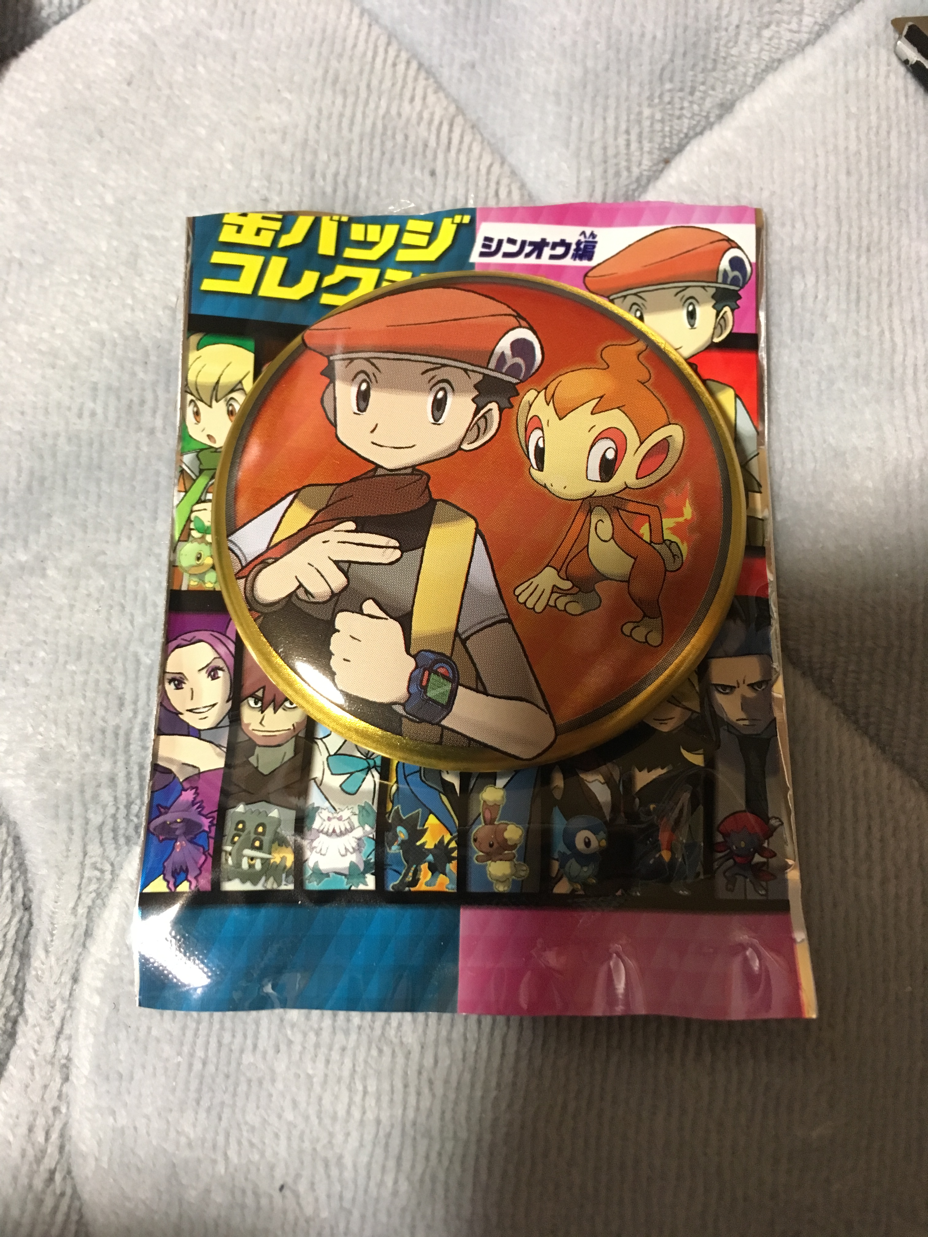ブログ ポケモン 缶バッジコレクション シンオウ編買ってきた 東海道くんのあれこれ ブログ ポケモン 缶バッジコレクション シンオウ編買ってきた 東海道くんのあれこれ