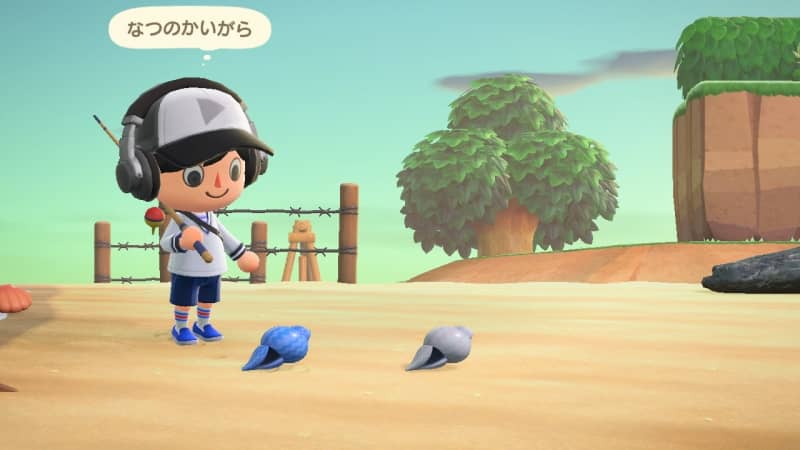 砂浜には「なつのかいがら」がたまに転がるようになった。
