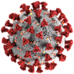 SARS-CoV-2のCG外観図
